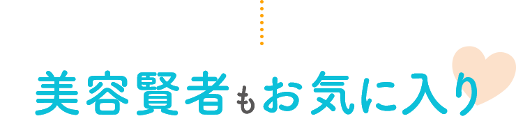 USER VOICE