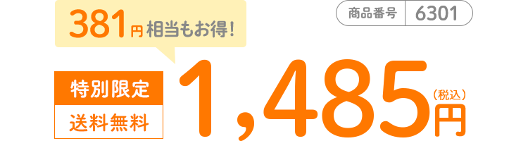 商品番号6301 特別限定1,485円（税込） 送料無料 381円相当もお得！