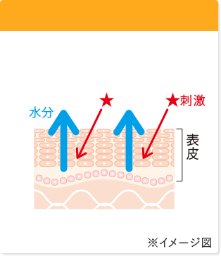 乳幼児の肌 ※イメージ図