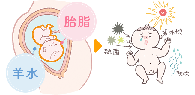 ママのおなかの中