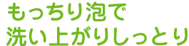 もっちり泡で洗い上がりしっとり