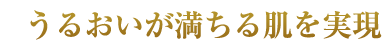 うるおいが満ちる肌を実現