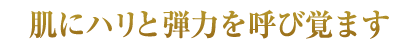 肌にハリと弾力を呼び覚ます