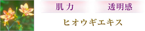 肌力・透明感：ヒオウギエキス