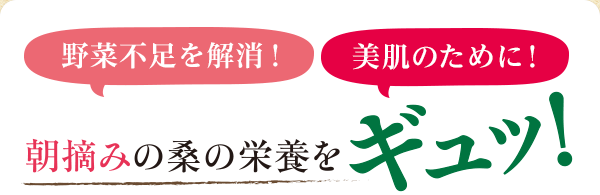 朝摘みの桑の栄養をギュッ！