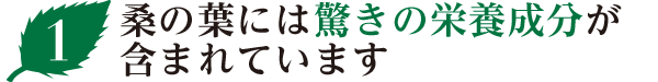 桑の葉には驚きの栄養成分が含まれています