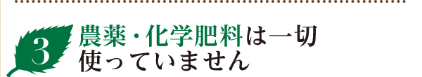 農薬・化学肥料は一切使っていません