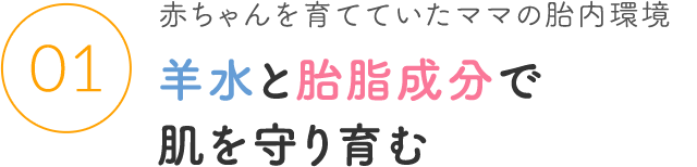 01 赤ちゃんを育てていたママの胎内環境 羊水と胎脂成分で肌を守り育む