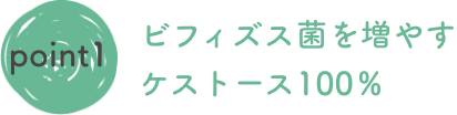 ビフィズス菌を増やすケストース100%