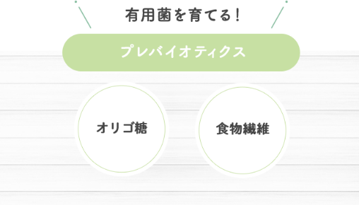 有用菌を育てるプレバイオティクス:オリゴ糖　食物繊維