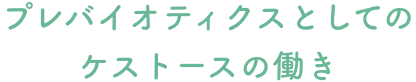 プレバイオティクスとしてのケストースの働き