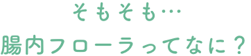 そもそも…腸内フローラってなに？