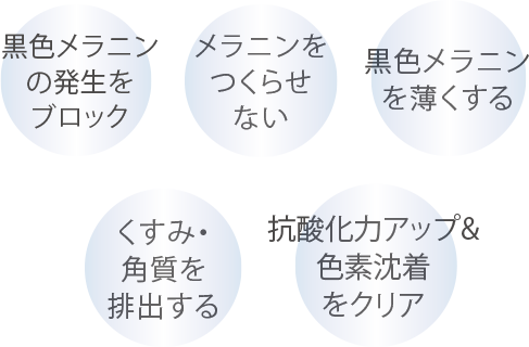 黒色メラニンの発生をブロック
										メラニンをつくらせない
										黒色メラニンを薄くする
										くすみ・ 角質を排出する
										抗酸化力アップ& 色素沈着をクリア