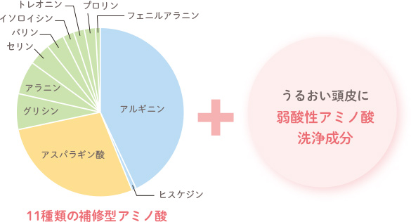 11種類の補修型アミノ酸＋弱酸性アミノ酸洗浄成分