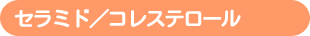 セラミド/コレステロール