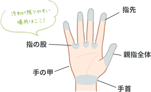 手の汚れが残りやすい場所は、指先・指の股・親指全体・手の甲・手首