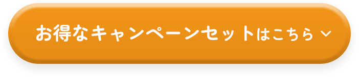 お得なキャンペーンセットはこちら