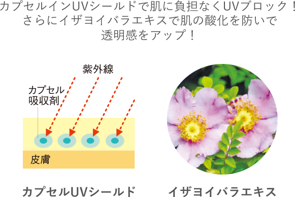 カプセルインUVシールドで肌に負担なくUVブロック！