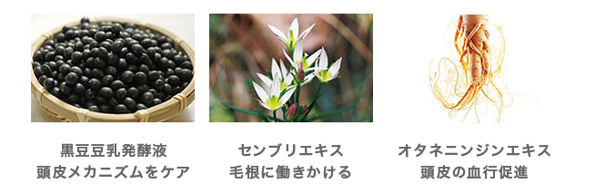 3方向からアプローチ