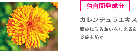 独自開発 カレンデュラエキス