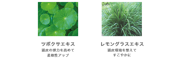 3方向からアプローチ