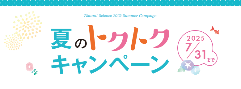 冬のトクトクキャンペーン
