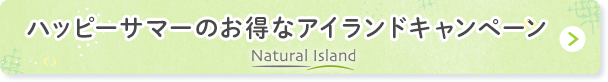 お得なアイランドキャンペーン