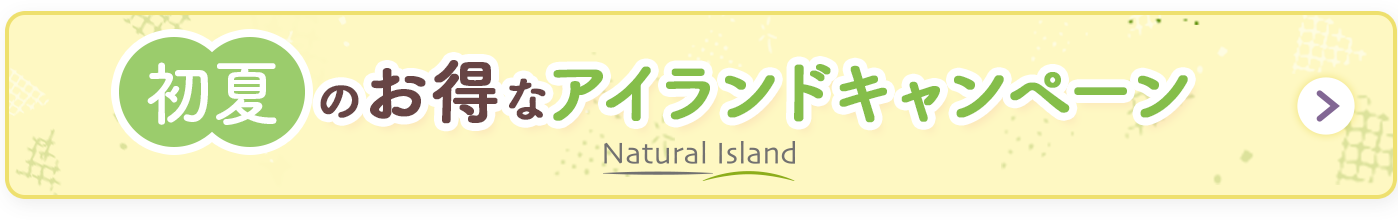 お得なアイランドキャンペーン